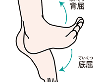 足首のインピンジメント症候群（前方、後方）とは