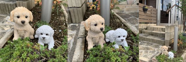 さいたま市の整体院の入り口風景|さいたま中央フットケア整体院