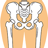 股関節の整体
