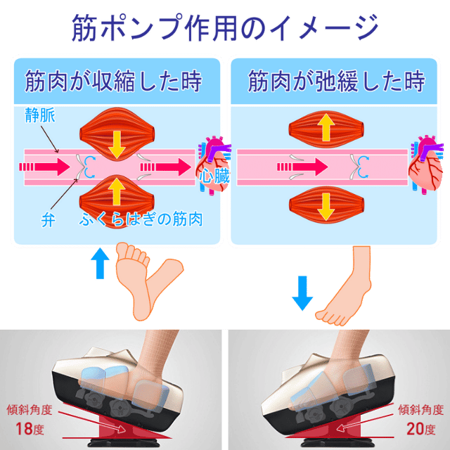 ゆらりフットマッサージャーAM-60|効果と特徴を足のプロ整体師が解説|さいたま中央フットケア整体院