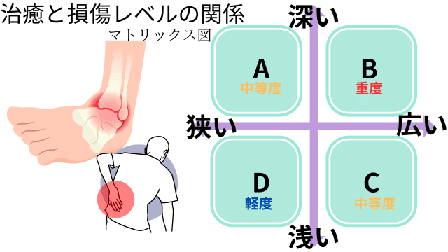 治る早さは、症状レベルによる依存する！