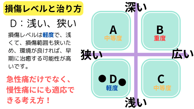 1-1.A：損傷レベル（中等度）が深いが範囲が浅いタイプ