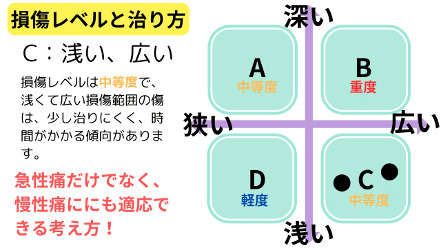 1-2.B：損傷レベル（重度）が深く範囲が広いタイプ