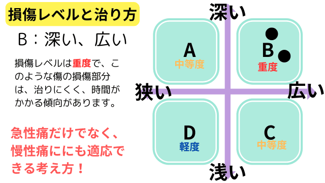 1-3.C：損傷レベル（中等度）が浅いが範囲が広いタイプ