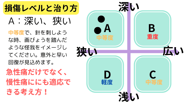 1-4.D：損傷レベル（軽度）が浅く範囲も狭いタイプ